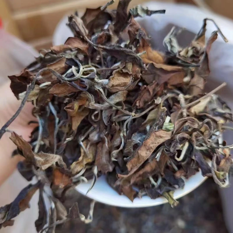 The 2024 spring, the ancient trees, the white tea