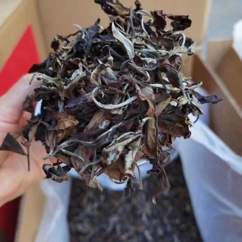 The 2024 spring, the ancient trees, the white tea