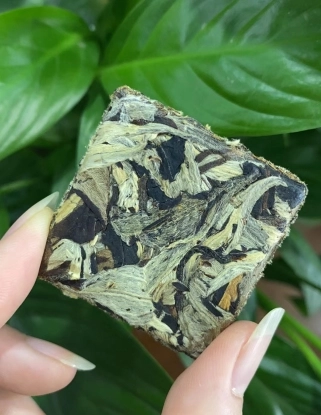 2022 Pure Ancient Tree White Tea