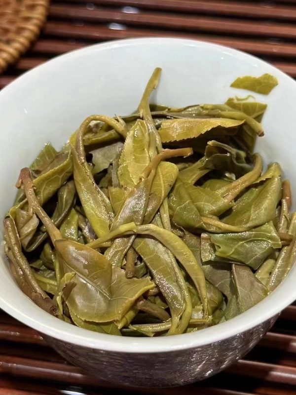 2024 Yiwu Mint Pond Ancient Tree