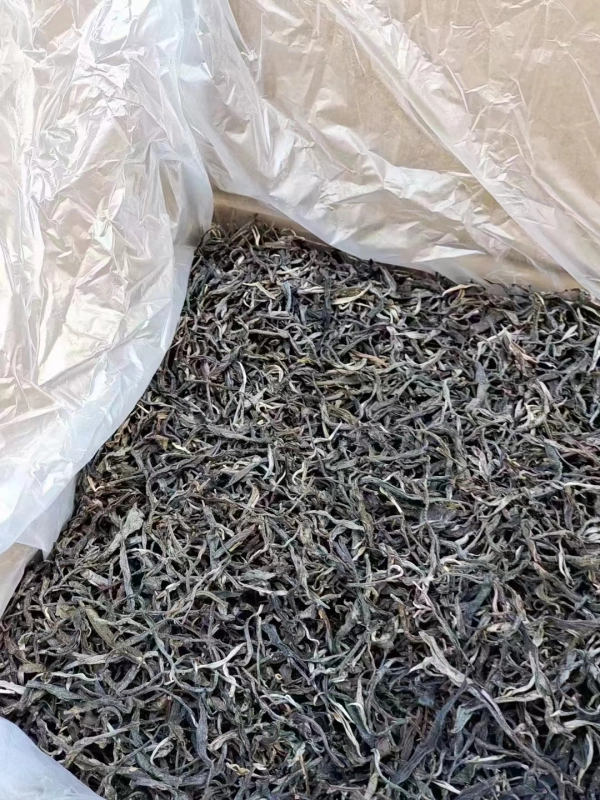 In 2022, the former returned to the mountain loose tea
