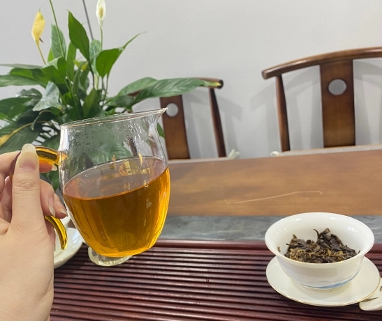 2022 Pure Ancient Tree White Tea