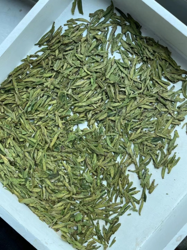 Longjing in 2024