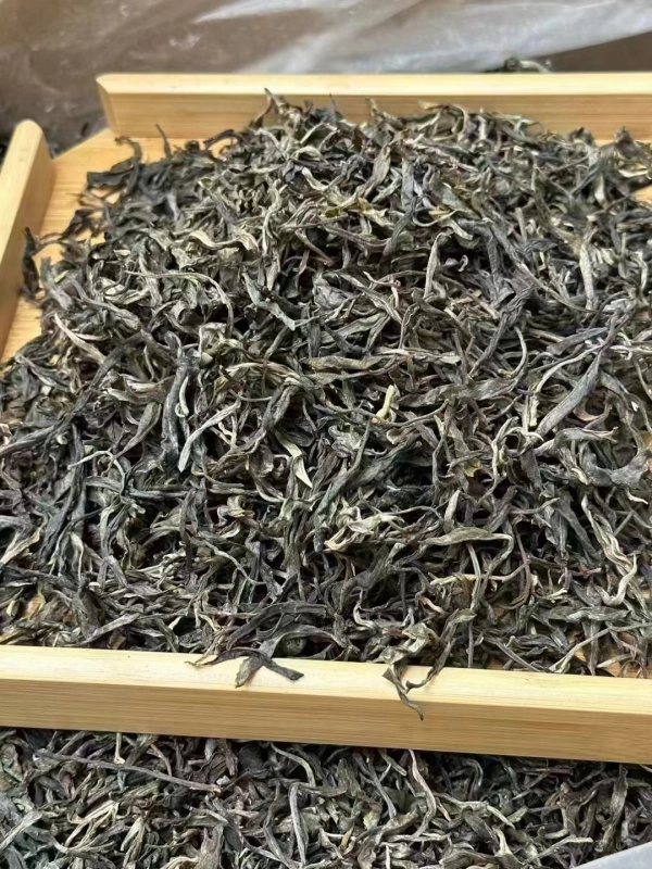 2023 First Spring Iceland Glutinous Loose Tea