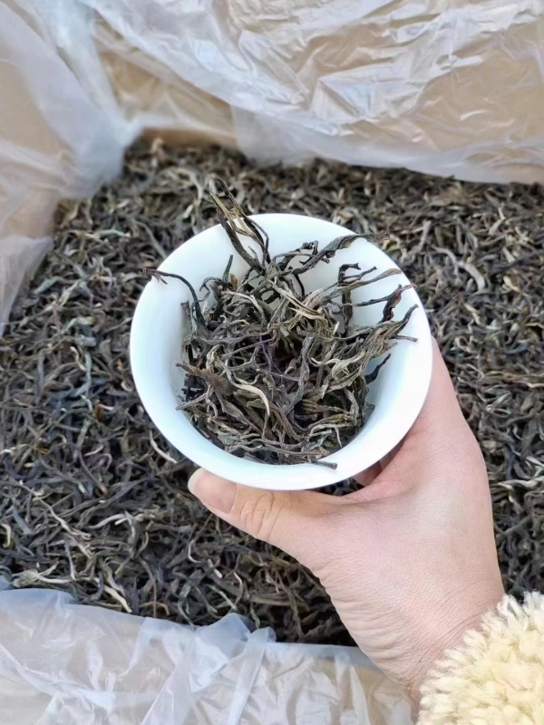 In 2022, the former returned to the mountain loose tea