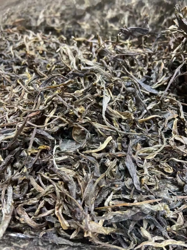 2024 Yiwu Mint Pond Ancient Tree
