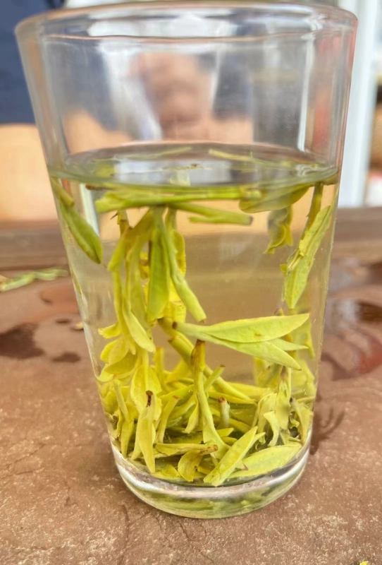 Longjing in 2024