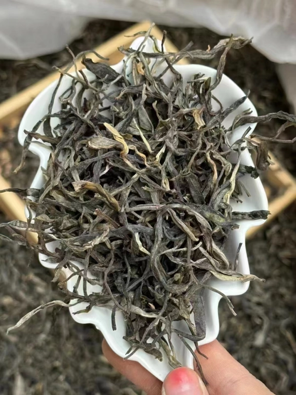 2023 First Spring Iceland Glutinous Loose Tea