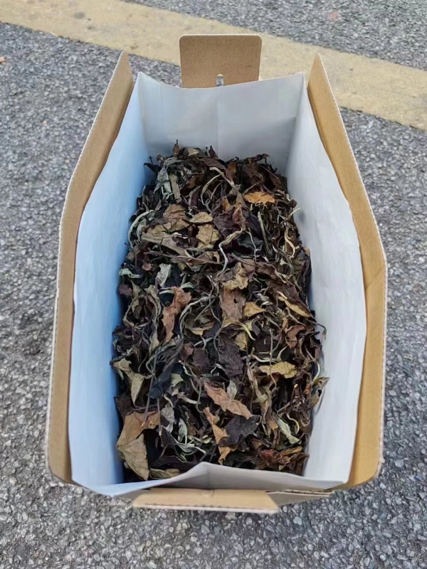 2008 Icelandic Old White Tea