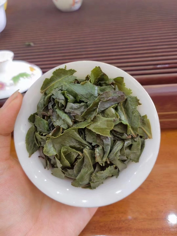 In 2024, the first spring of Anxi Tieguanyin