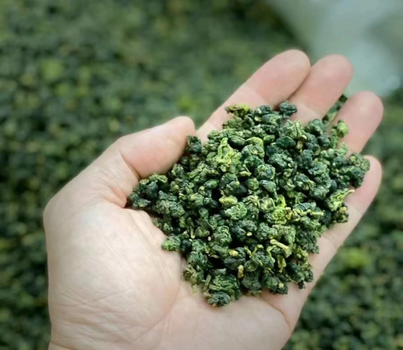 In 2024, the first spring of Anxi Tieguanyin