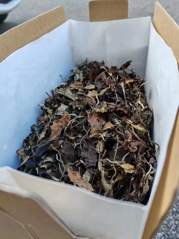 2008 Icelandic Old White Tea