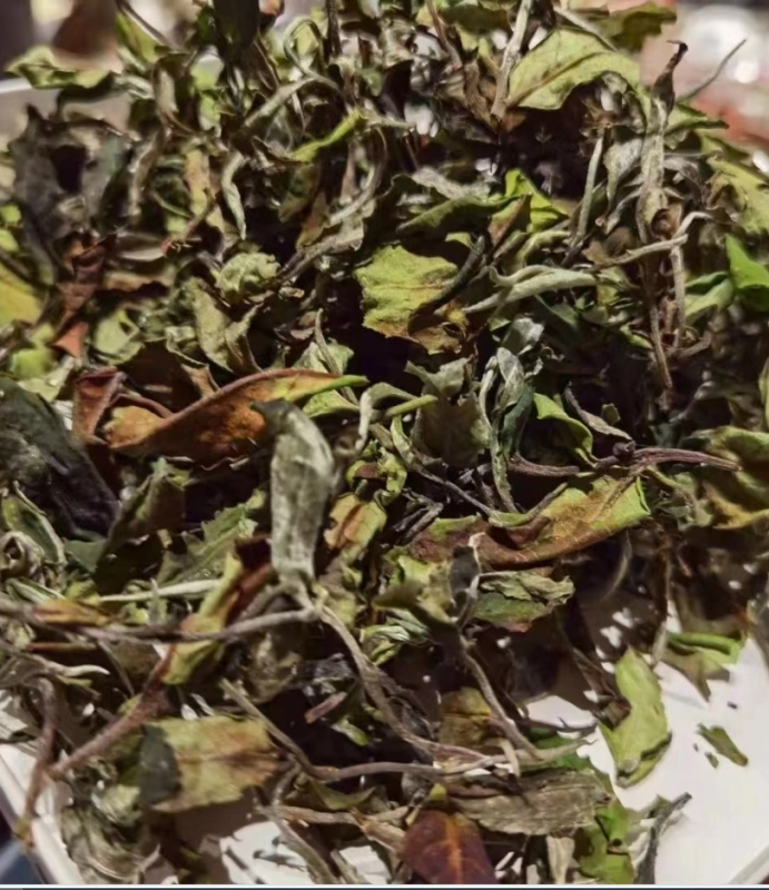 Old White tea 2024“Mansong”