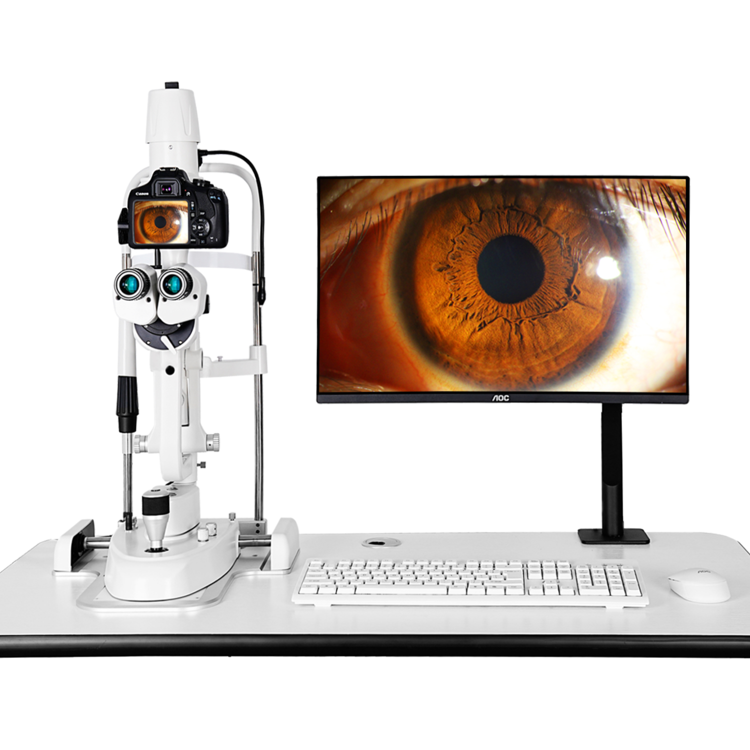 LS-5DX Digital Slit Lamp