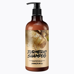250ml Oalen OEM Promote Hair Growth Herbal Turmeric Ginger Shampoo,oalen cosmetics