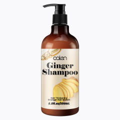Luxfume Private Label 250ML Ginger Scalp Nourishing Turmeric Shampoo,oalen cosmetics