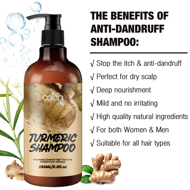 250ml Oalen OEM Promote Hair Growth Herbal Turmeric Ginger Shampoo,oalen cosmetics