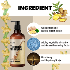Oalen 250ML Hair Strengthening Scalp Nourishing Turmeric Shampoo,MY SHOP