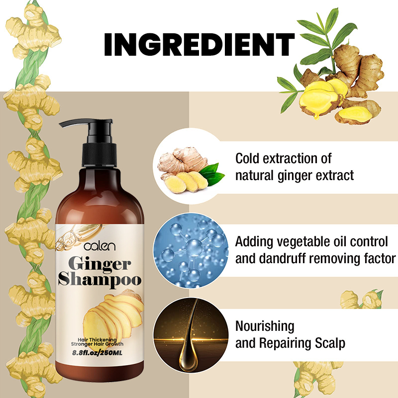 Luxfume Private Label 250ML Ginger Scalp Nourishing Turmeric Shampoo,oalen cosmetics