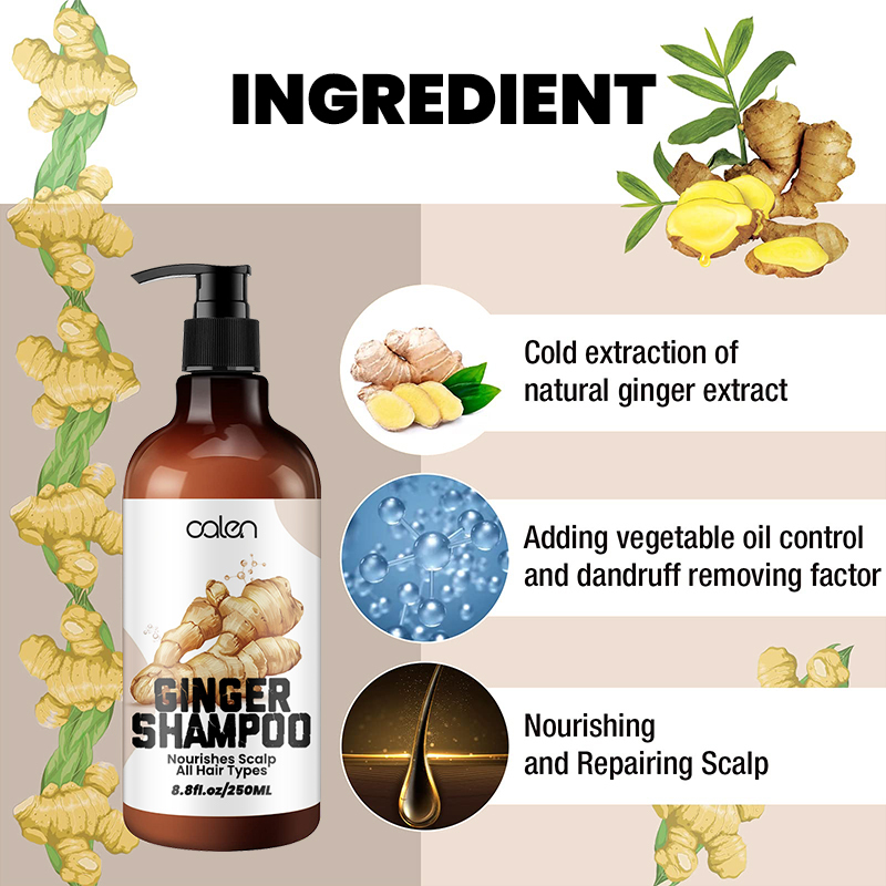 Luxfume OEM ODM Repairing Damage Ginger Infused Shampoo 250ml,MY SHOP