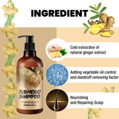 250ml Oalen OEM Promote Hair Growth Herbal Turmeric Ginger Shampoo,oalen cosmetics