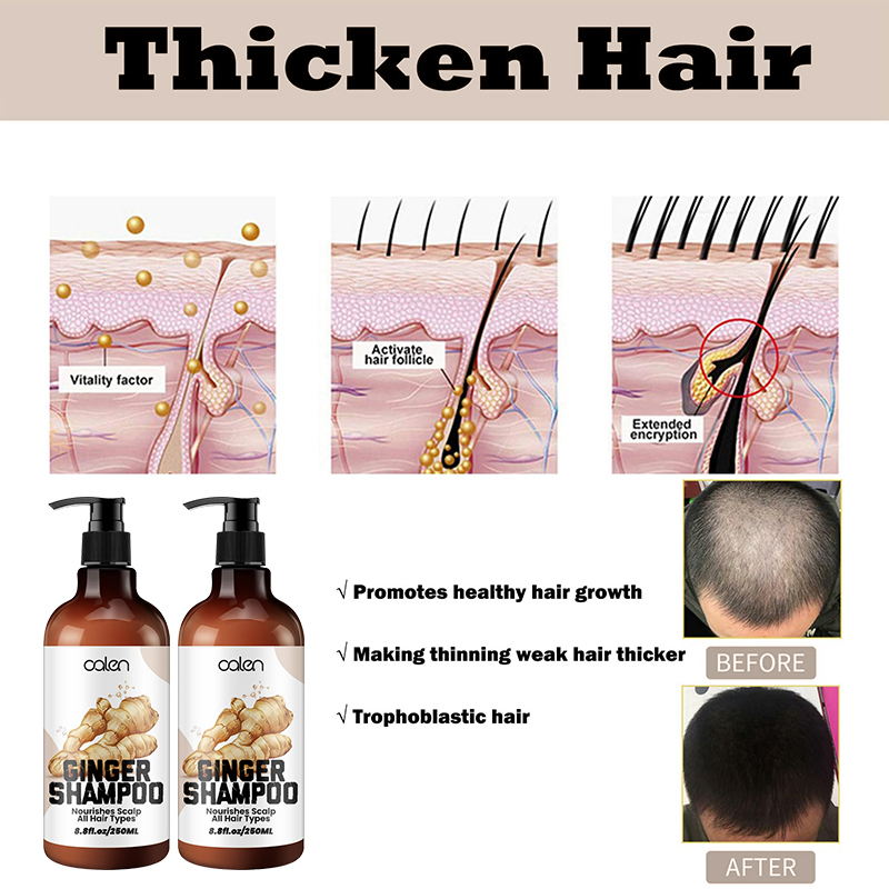 Luxfume OEM ODM Repairing Damage Ginger Infused Shampoo 250ml,MY SHOP