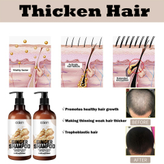 Luxfume OEM ODM Repairing Damage Ginger Infused Shampoo 250ml,MY SHOP