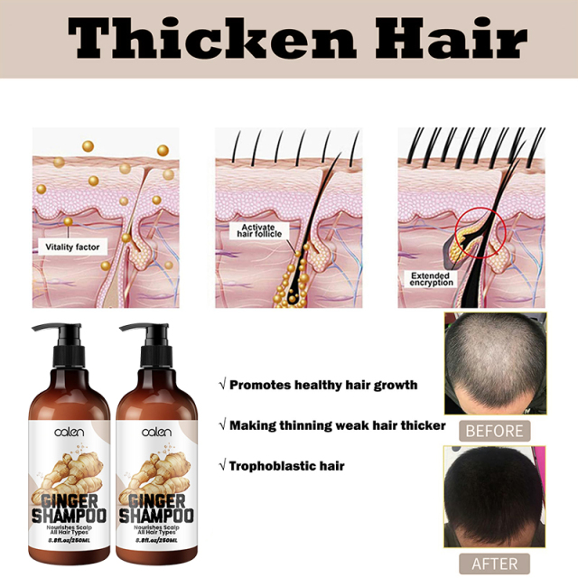 Luxfume OEM ODM Repairing Damage Ginger Infused Shampoo 250ml,MY SHOP