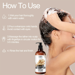 Luxfume OEM ODM Repairing Damage Ginger Infused Shampoo 250ml,MY SHOP