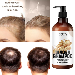 Luxfume OEM ODM Repairing Damage Ginger Infused Shampoo 250ml,MY SHOP