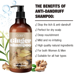 Luxfume Promotes Ginger Plant Extract Anti Hair Loss Shampoo 250ml,MY SHOP