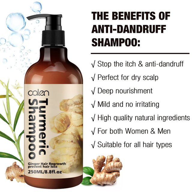 OALEN 250ml Turmeric Anti Strengthening Repairing Ginger Hair Shampoo,oalen cosmetics