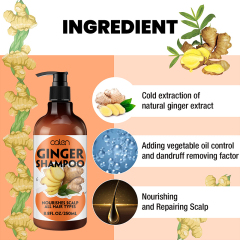 Oalen 250ml Nutrient Rich Scalp Radiant Ginger Hair Growth Shampoo,MY SHOP