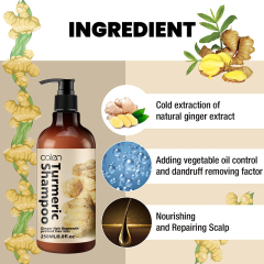 OALEN 250ml Turmeric Anti Strengthening Repairing Ginger Hair Shampoo,oalen cosmetics