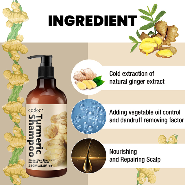 OALEN 250ml Turmeric Anti Strengthening Repairing Ginger Hair Shampoo,oalen cosmetics