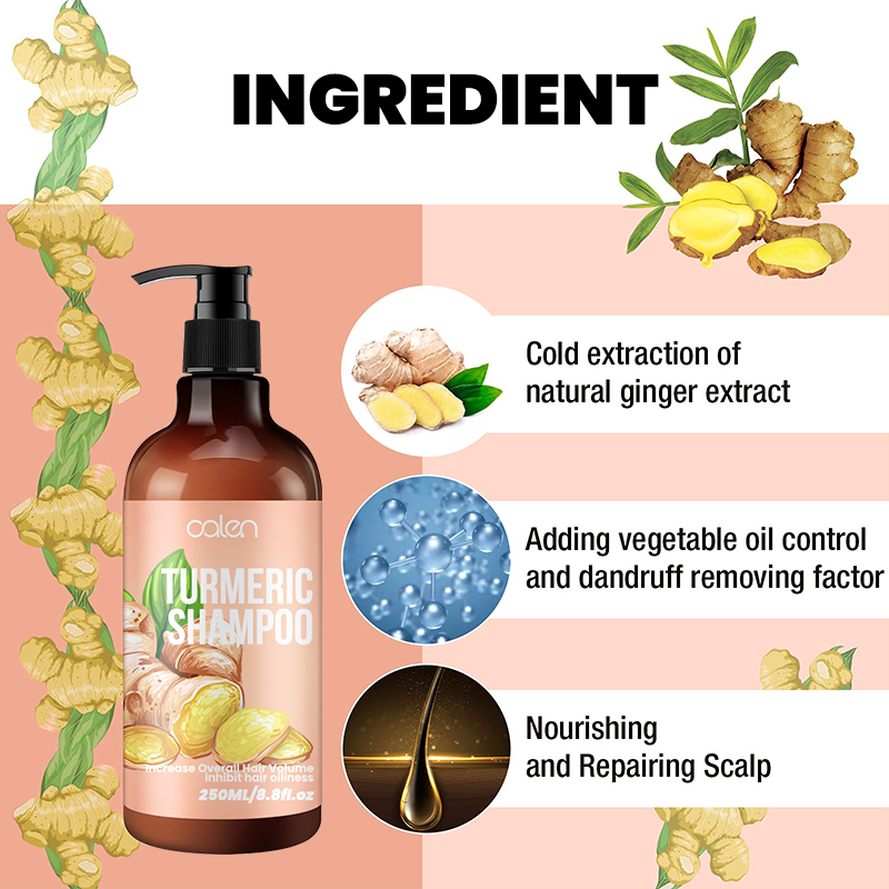 250ML Luxfume OEM Increase Volume Repairs Damaged Hair Ginger Shampoo,MY SHOP