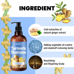 Oalen Protective Scalp Nourishing Turmeric Hair Cleansing Shampoo,MY SHOP