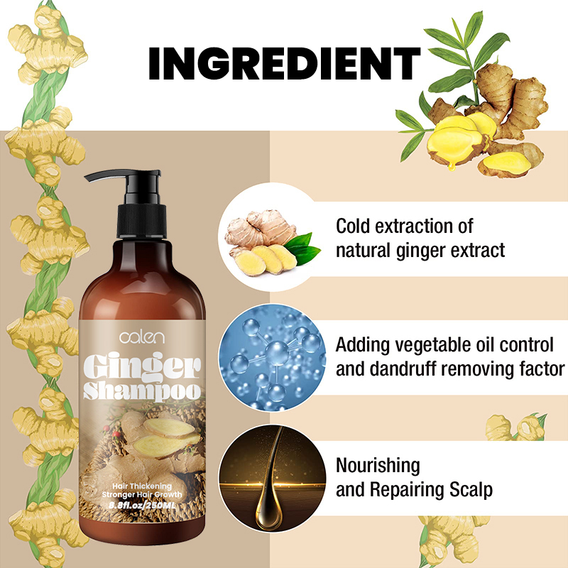 Luxfume Promotes Ginger Plant Extract Anti Hair Loss Shampoo 250ml,MY SHOP