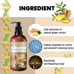 Luxfume Promotes Ginger Plant Extract Anti Hair Loss Shampoo 250ml,MY SHOP