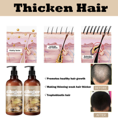 Luxfume Promotes Ginger Plant Extract Anti Hair Loss Shampoo 250ml,MY SHOP