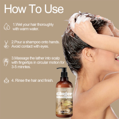 Luxfume Promotes Ginger Plant Extract Anti Hair Loss Shampoo 250ml,MY SHOP