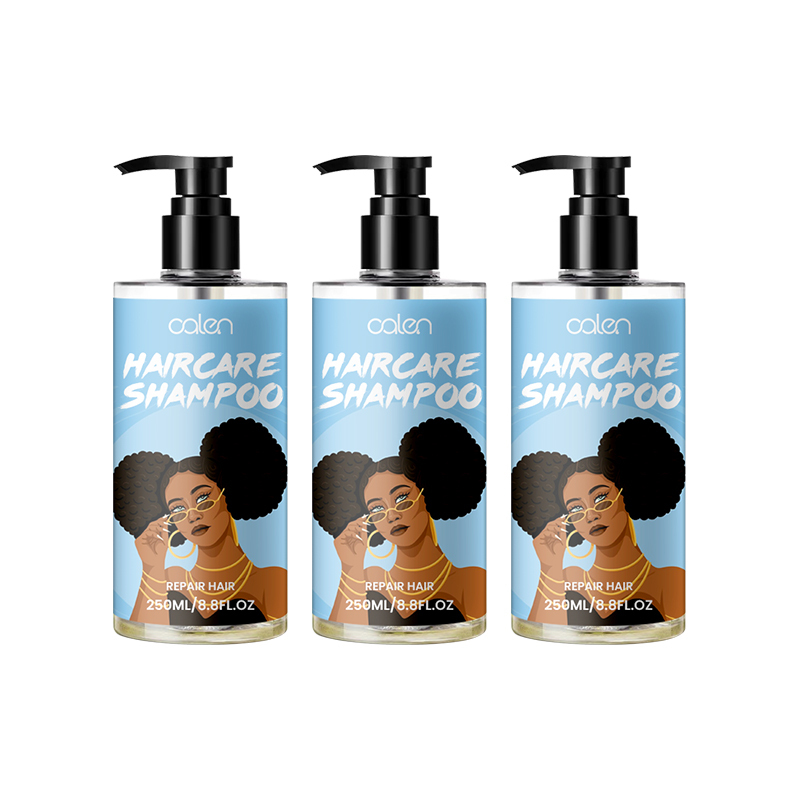 Oalen Custom Logo 250Ml Deep Cleans Refreshes Scalp Best Dry Shampoo,MY SHOP