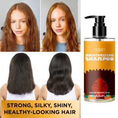 Luxfume Factory Customized Softens And Deeply Hydrates Hair Shampoo,oalen cosmetics