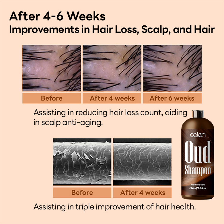 Luxfume ODM Reduces Frizz Volumizing Cleanser With Notes Of Pure Oud Scent Shampoo,MY SHOP