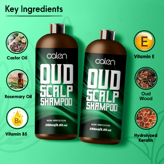 Oalen 250Ml Improves Hair Texture Visible Voulme Cleanses Oud Shampoo,oalen cosmetics