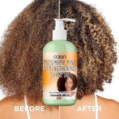 Oalen 250Ml OEM ODM Hair Loss Treatment Rosemary Mint Hair Shampoo,MY SHOP
