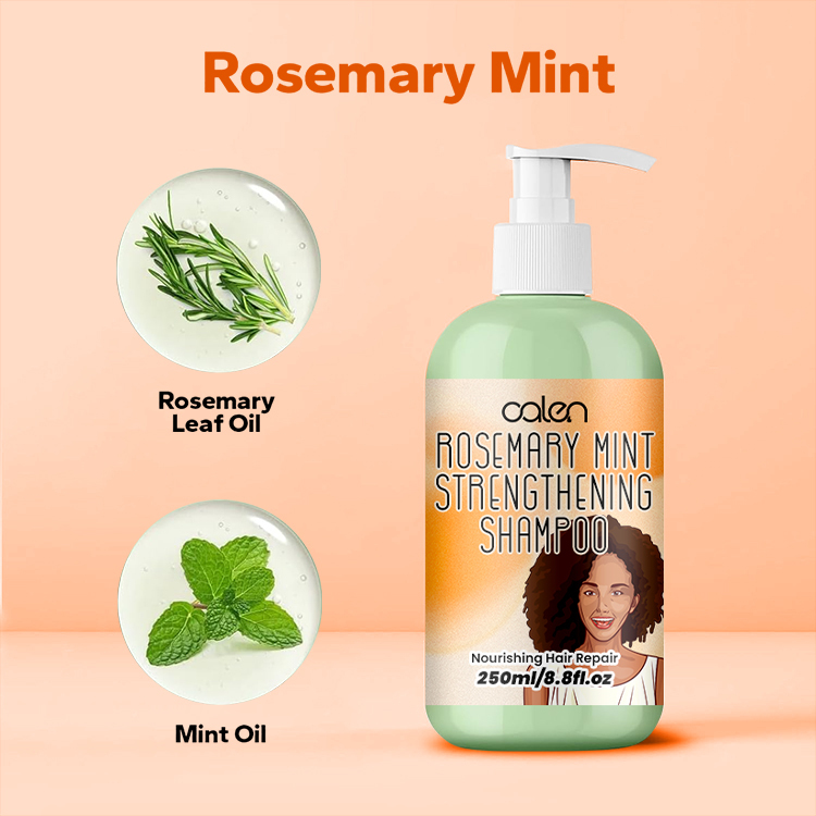 Oalen 250Ml OEM ODM Hair Loss Treatment Rosemary Mint Hair Shampoo,MY SHOP