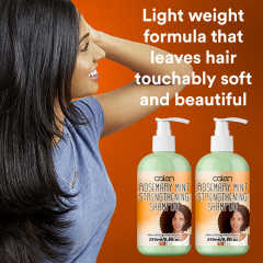 Oalen 250Ml OEM ODM Hair Loss Treatment Rosemary Mint Hair Shampoo,MY SHOP