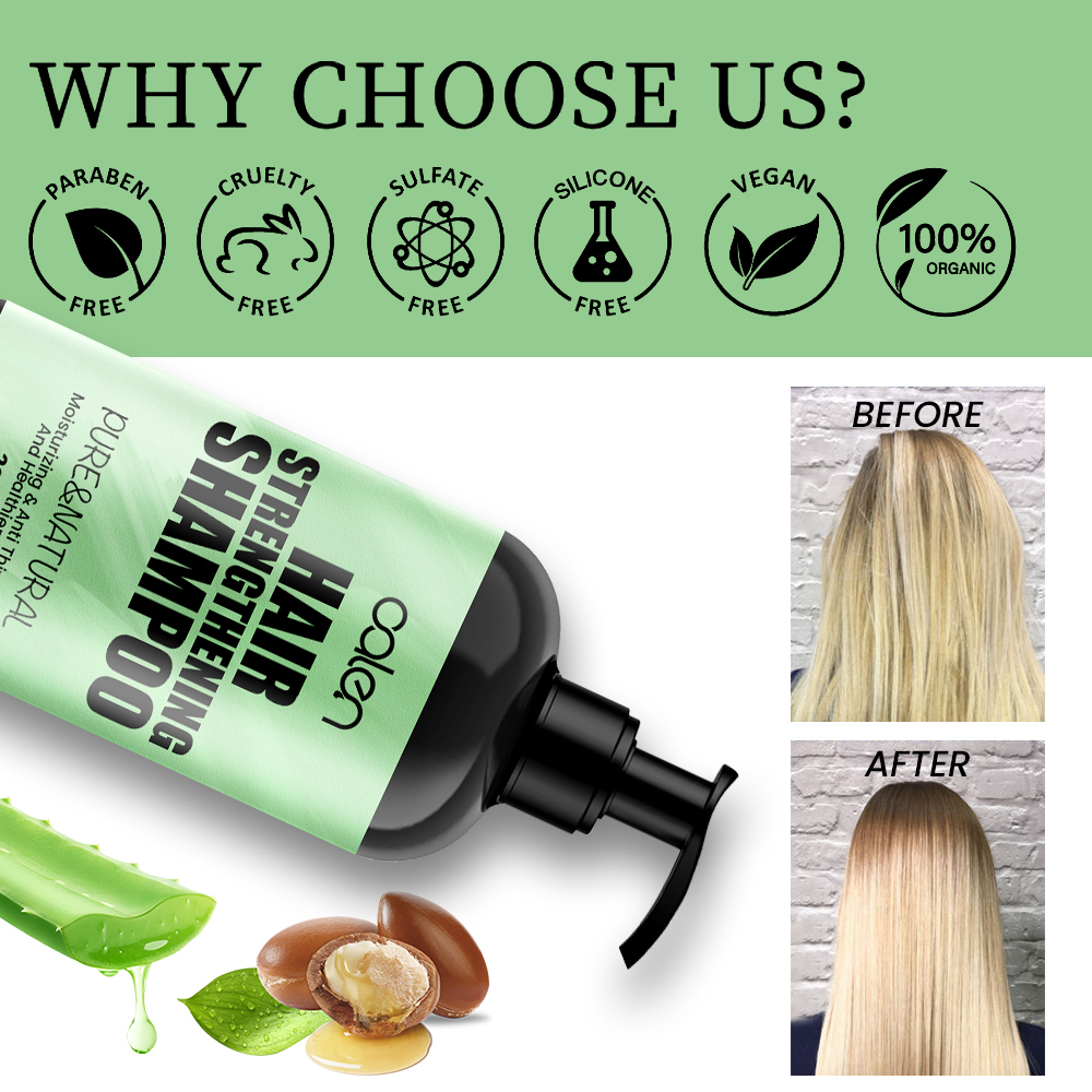 Luxfume Organic Wholesale Customize Daily Relief Moisturizer Anti Dandruff And Anti Hair Loss For Dry Frizz Shampoo,oalen cosmetics