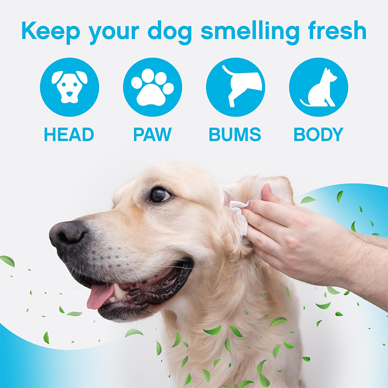 Luxfume Pets Deodorizing Dog Spray for Odor Control,MY SHOP